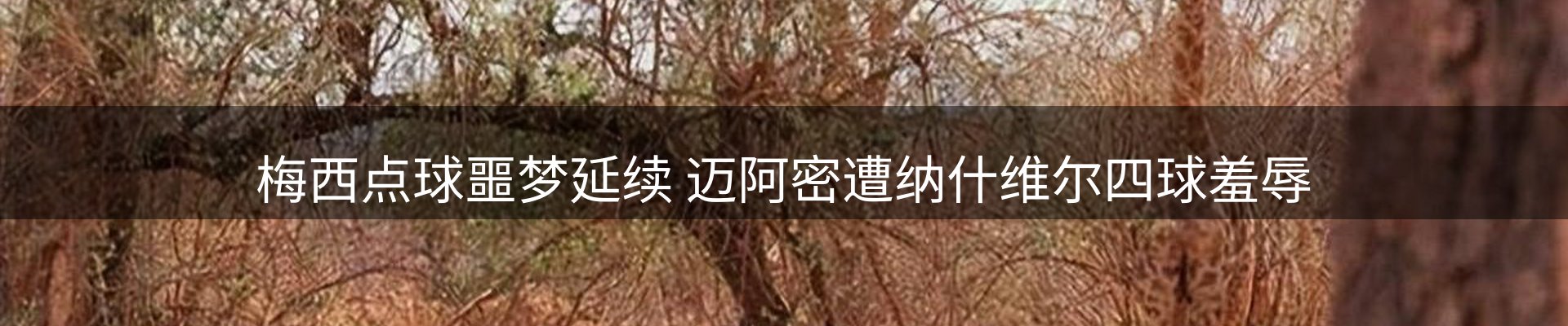 平台资讯
