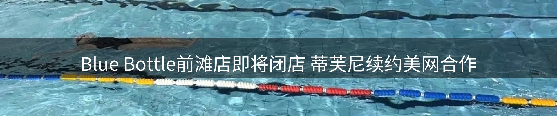 焦点通报